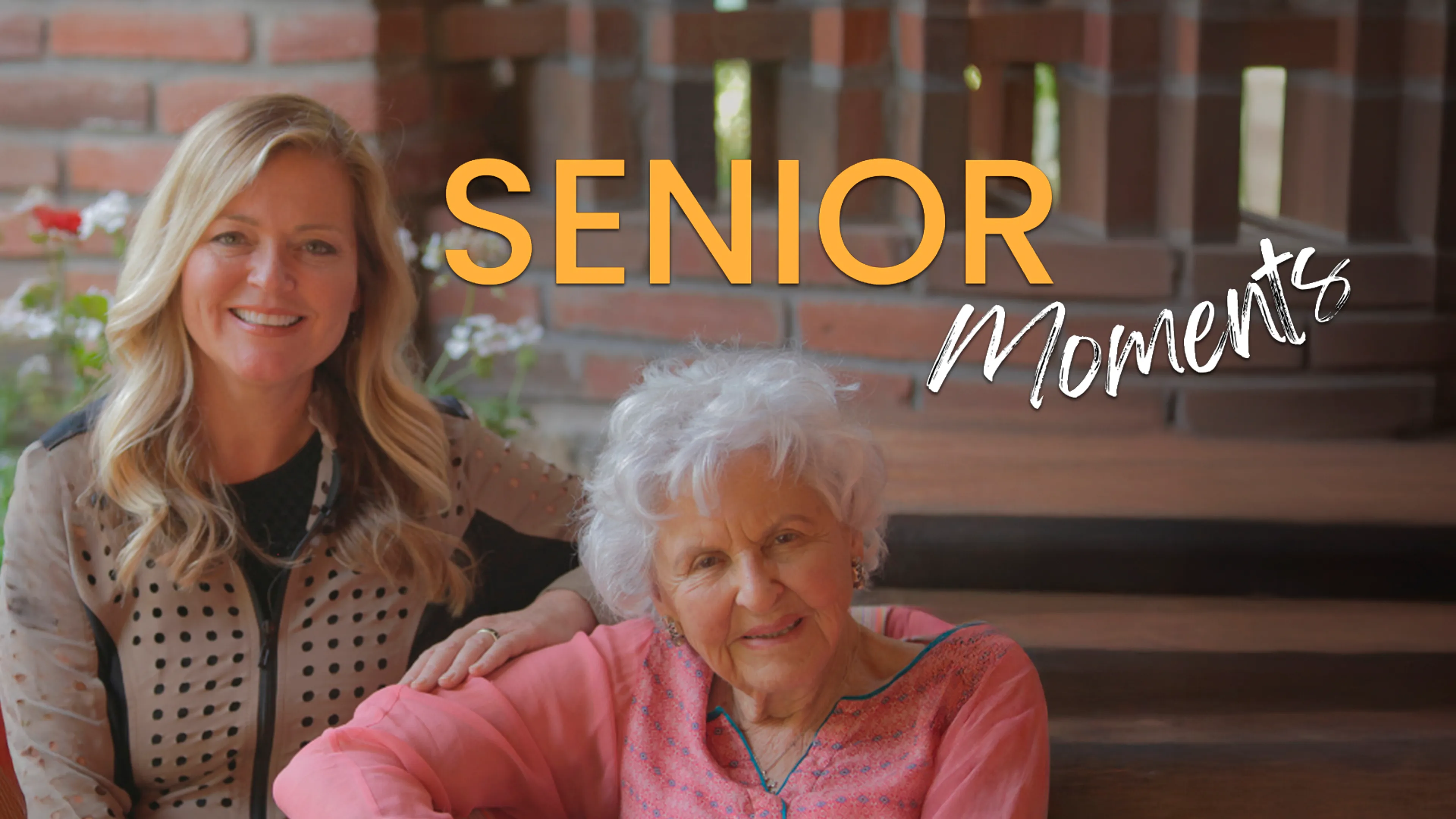 Senior Moments poster